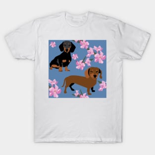 Dachshund Dogs and blue denim with pink flowers T-Shirt